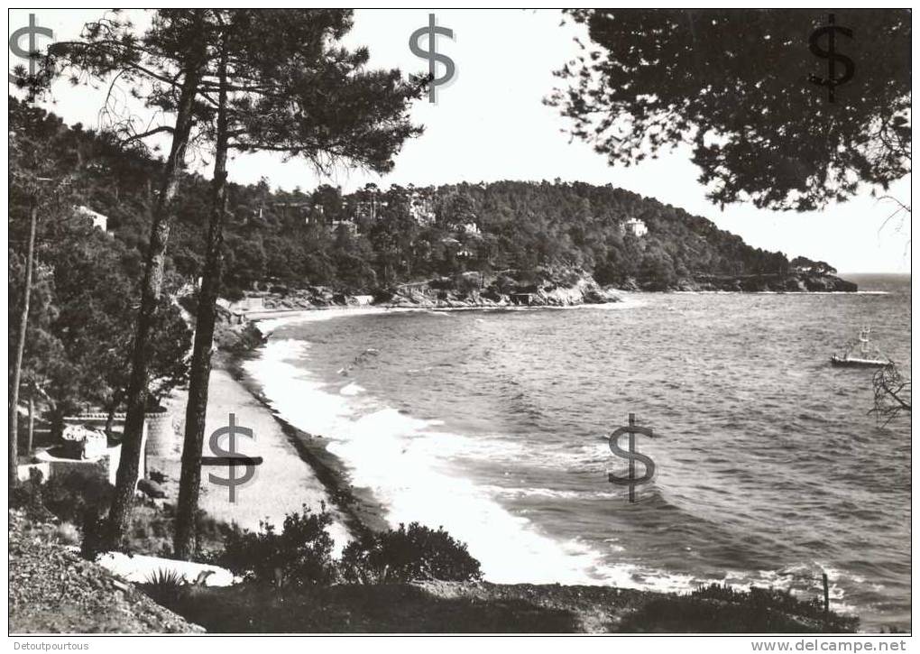 LE RAYOL Var 83 : Corniche Des Maures : Un Coin De La Plage - Rayol-Canadel-sur-Mer