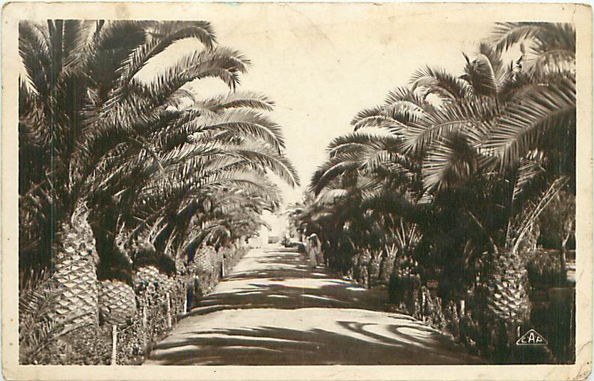 CASABLANCA - Parc Lyautey (Ed. L.M., Casablanca, N° 37) - Casablanca