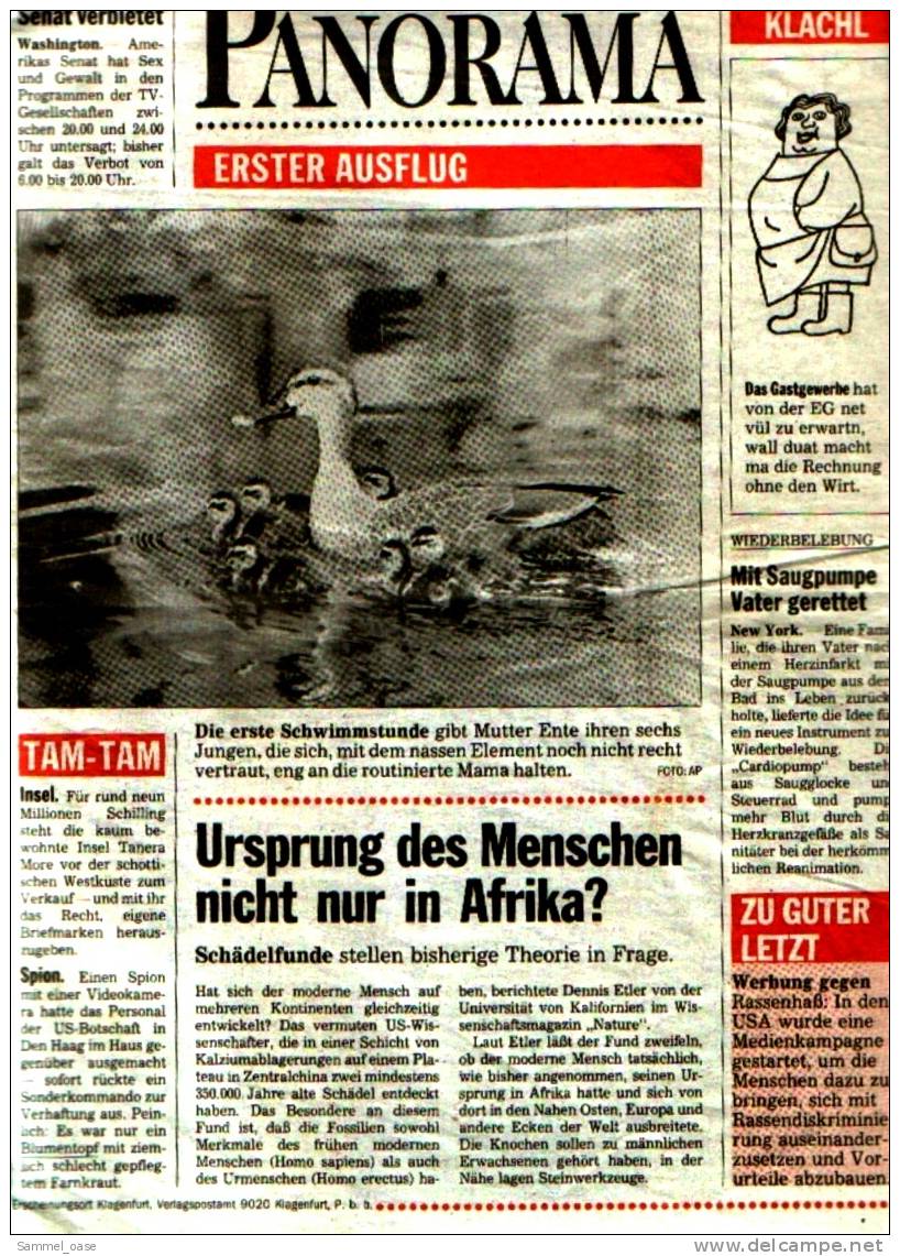 KLEINE  ZEITUNG Kärnten Klagenfurt  5.6.1992  -  TV, Fussball , Kultur , Politik Und Interessante Berichte - Sonstige & Ohne Zuordnung