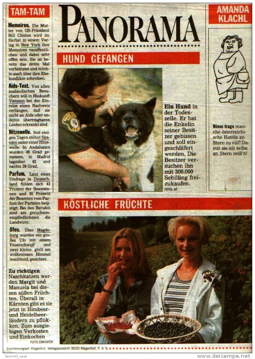 KLEINE  ZEITUNG Kärnten Klagenfurt  30.7.1993  -  TV, Fussball , Kultur , Politik Und Interessante Berichte - Sonstige & Ohne Zuordnung