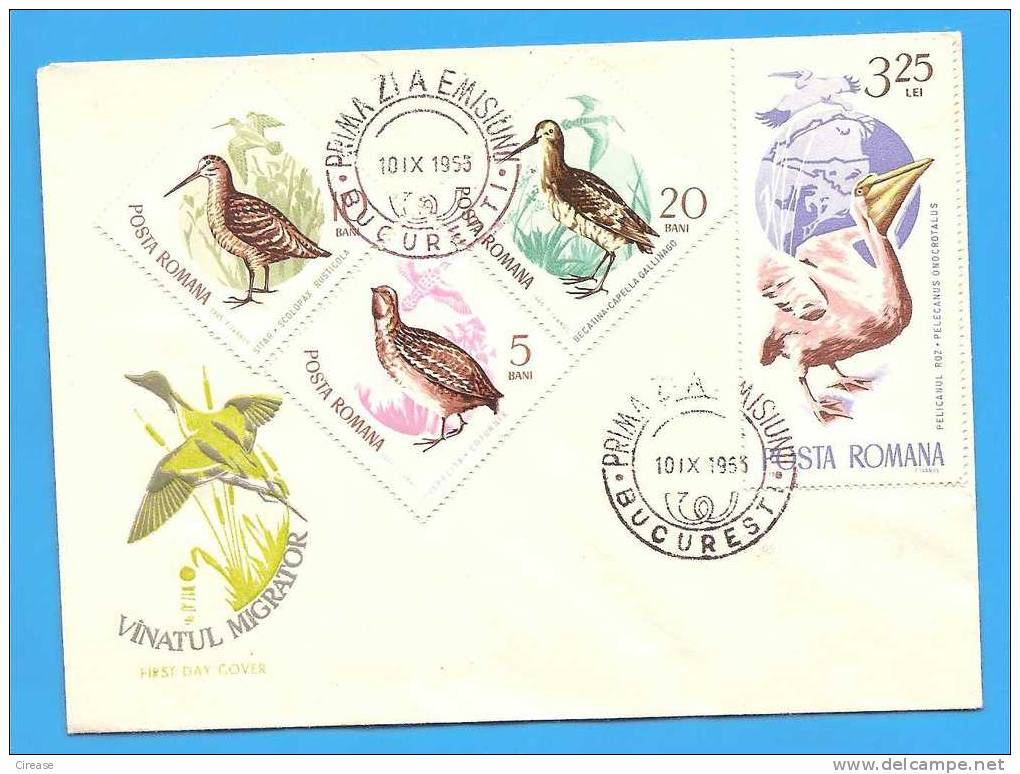 ROMANIA Cover 1965. Migratory Birds In The Danube Delta. Pelican - Pélicans