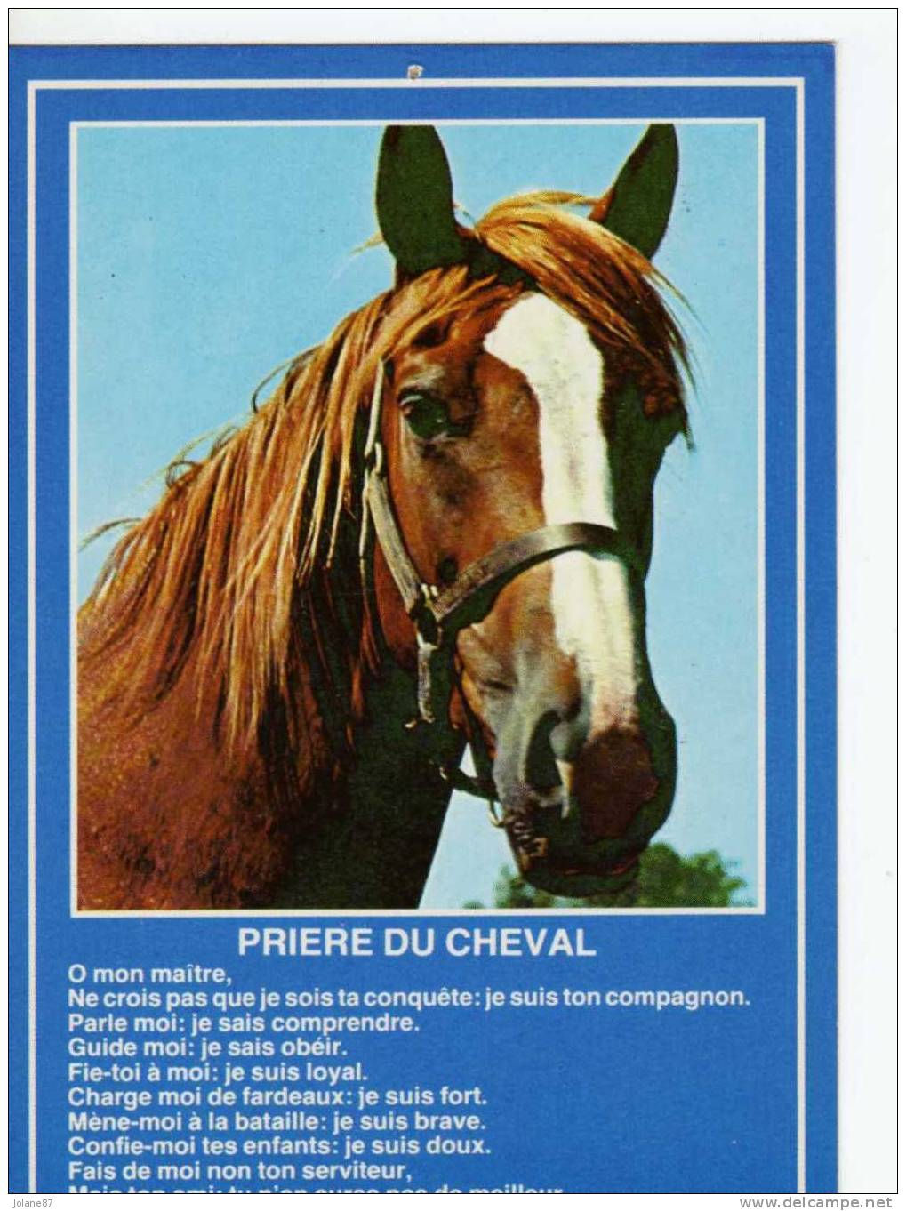 CPM     PRIERE DU CHEVAL - Pferde