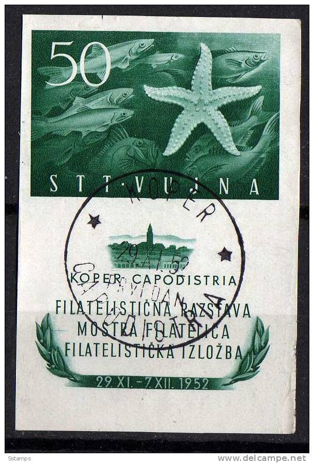 U-37 TRIESTE B ITALIA JUGOSLAVIA  FAUNA FISHES   USED - Used