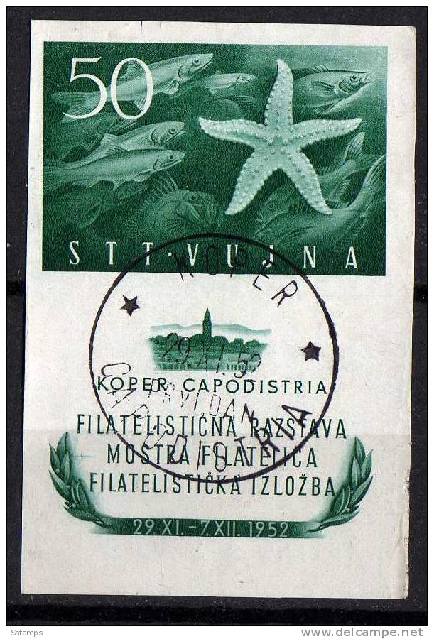 U-37 TRIESTE B ITALIA JUGOSLAVIA  FAUNA FISHES   USED - Gebraucht