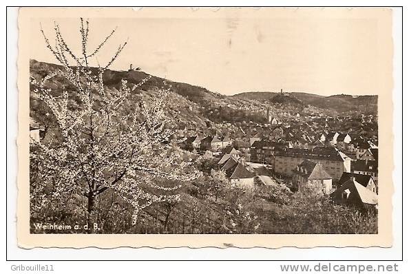 WEINHEIM   -    * DIE STADT Der SELTENEN BLÜTEN Und BÄUME *  -    Editeur  Foto WENDEL Aus Weinheim   N°2 - Weinheim