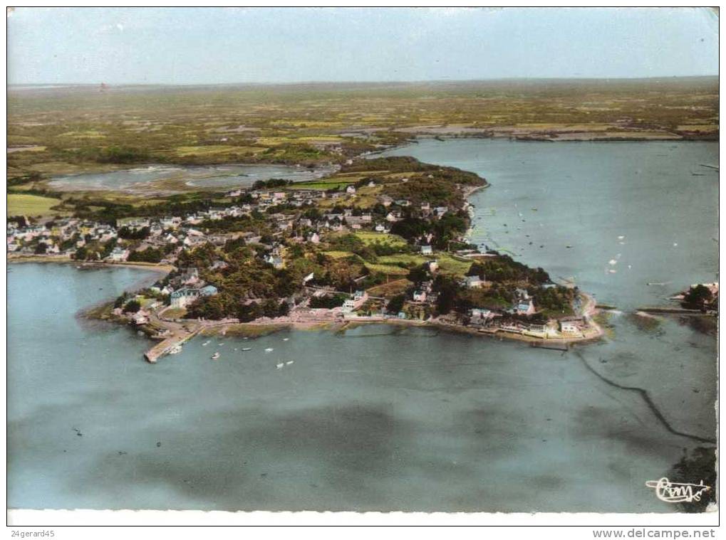 CPSM LARMOR BADEN (Morbihan) - Vue Générale De La Côte - Larmor-Plage