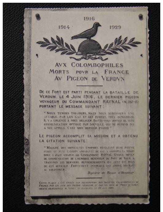 CPA Guerre 1914-16-29 -Aux Colombophiles Morts Pour La France -Pigeon De Verdun - Autres & Non Classés