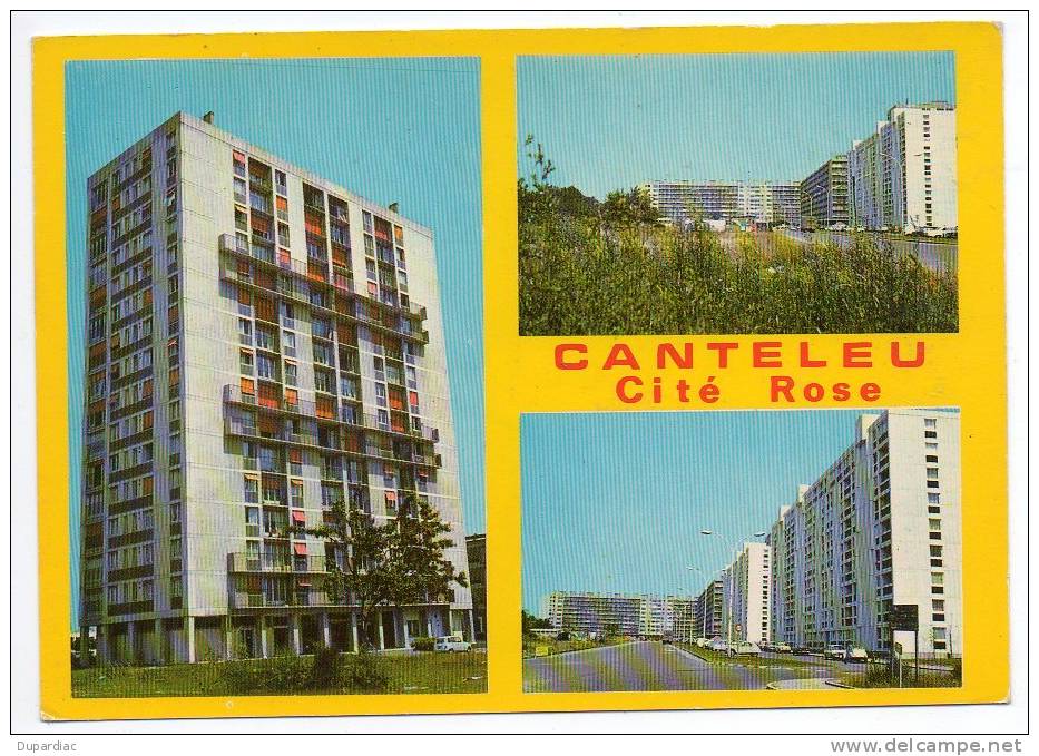 76 - Seine Maritime /  CANTELEU - Cité Rose - Canteleu