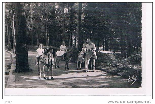 La Promenade Des ANES Dans Le Parc De VICHY - Anes