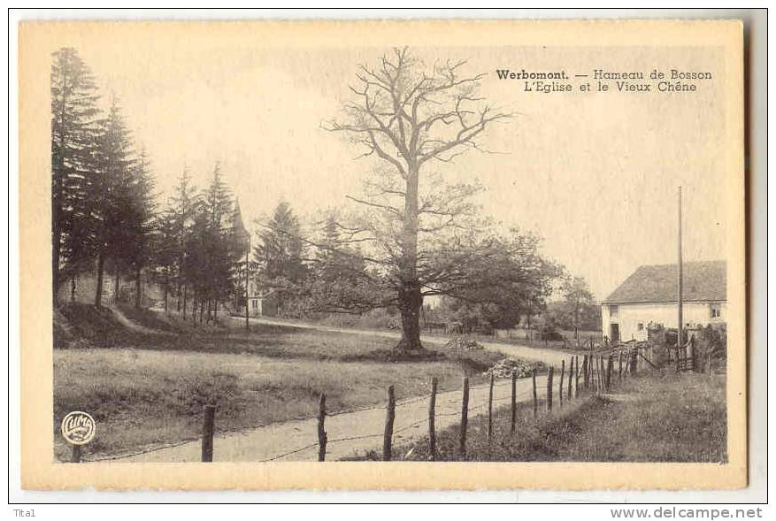 D2301 - WERBOMONT - Hameau De Bosson - L' Eglise Et Le Vieux Chêne - Ferrières