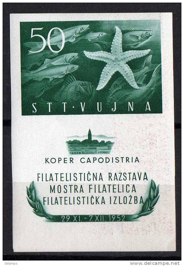 U-37 TRIESTE B ITALIA JUGOSLAVIA  FAUNA FISHES  NEVER HINGED - Neufs