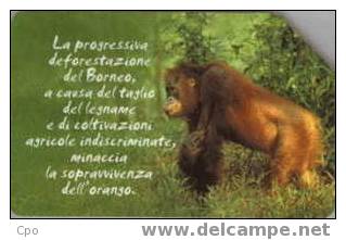 # ITALY A57 Animali Che Lasciano Un Vuoto - Monkey (30.06.2004) 5 - Animal,singe,monkey- Tres Bon Etat - Publiques Publicitaires