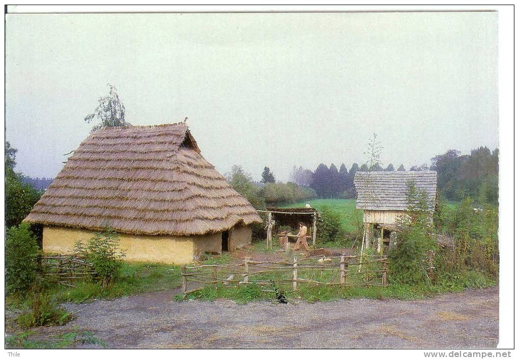 AUBECHIES - Archéosite - Maison Gauloise - Beloeil