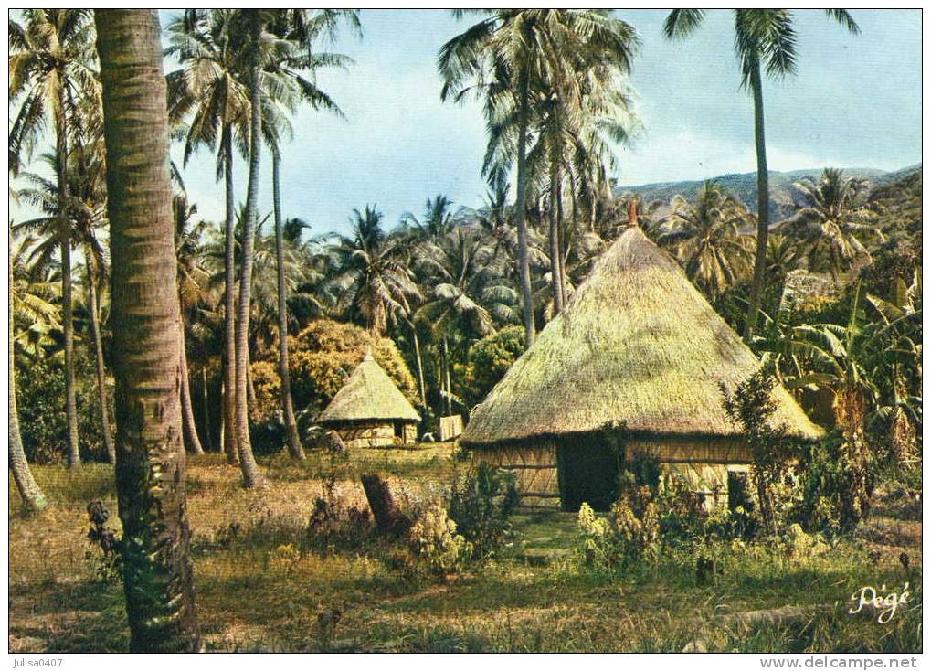 BALADE Environs (Nouvelle Caledonie) Cpsm Habitations Mélanésiennes - Nouvelle Calédonie