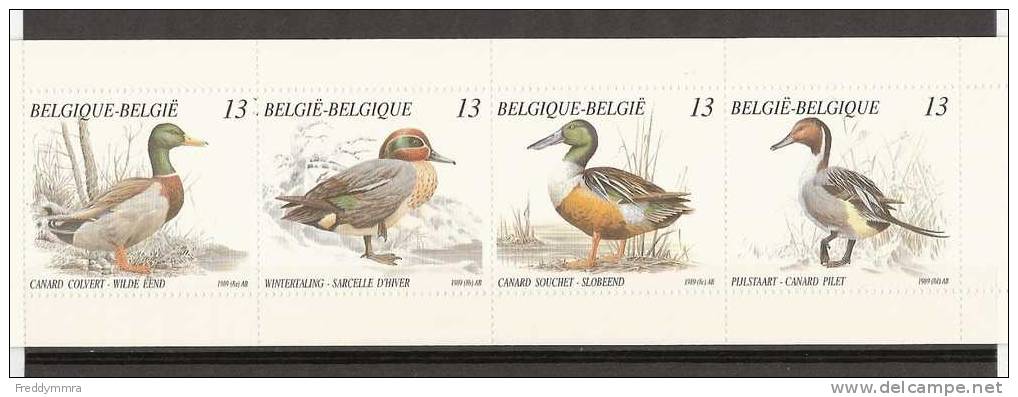 Belgique : Carnet C 19 **  Canards - Entenvögel