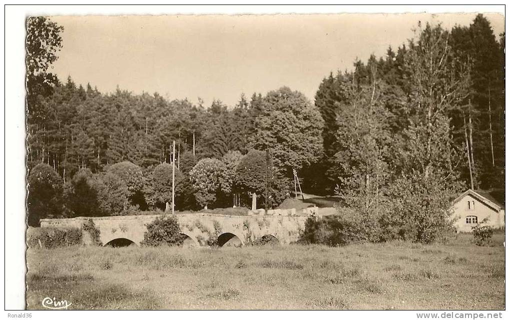 CP 88 MONTHUREUX Sur SAONE Les Sapins Et Le Pont De La Guerre  ( Lavoir Dit " Grande Fontaine )  ) - Monthureux Sur Saone