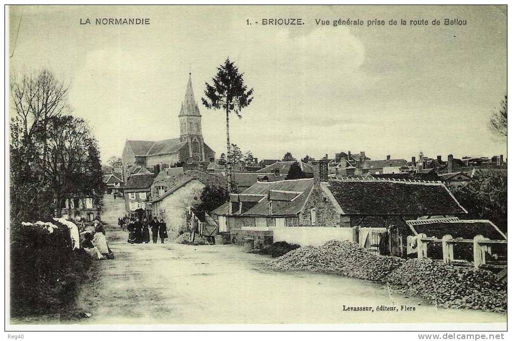 D61 - BRIOUZE  - Vue Générale Prise De La Route De BELLOU - Briouze