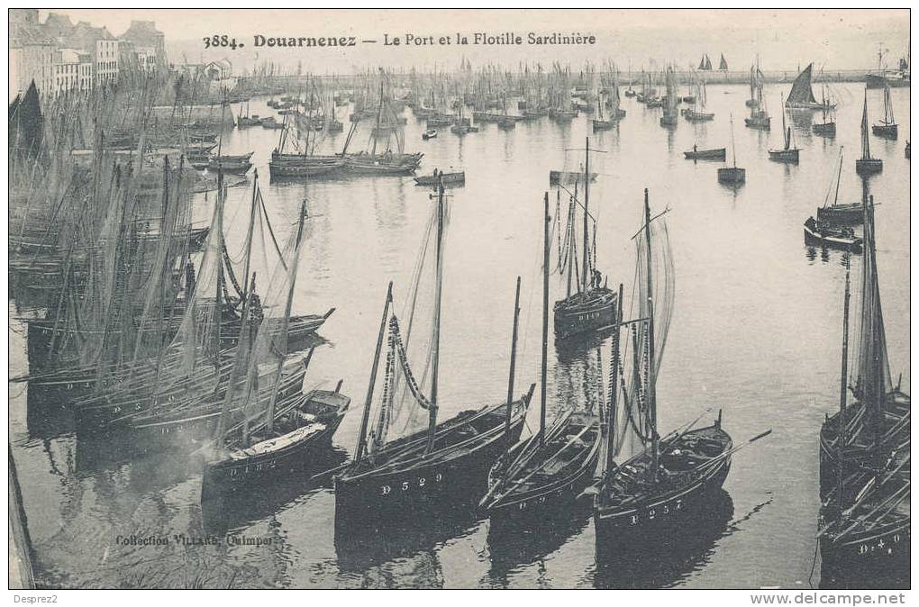 29 DOUARNENEZ Cpa Le Port Et La Flotille Sardiniere                        3884 Villard - Douarnenez