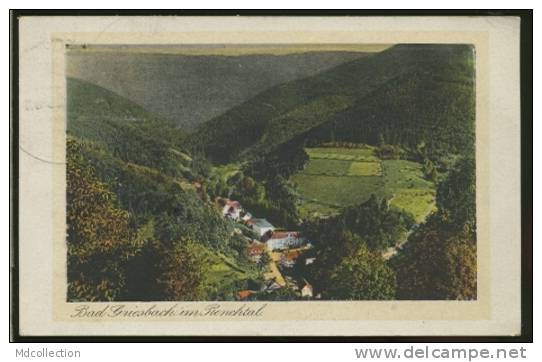ALLEMAGNE BAD PETERSTAL / Bad Griesbach Im Renchtal / CARTE COULEUR - Bad Peterstal-Griesbach