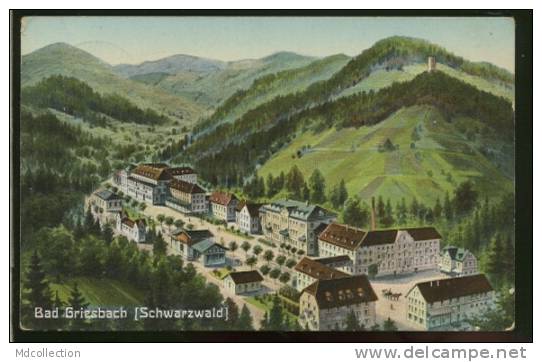 ALLEMAGNE BAD PETERSTAL / Bad Griesbach Im Renchtal / CARTE COULEUR - Bad Peterstal-Griesbach