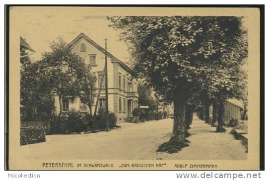 ALLEMAGNE BAD PETERSTAL / Zum Badischen Hof / - Bad Peterstal-Griesbach