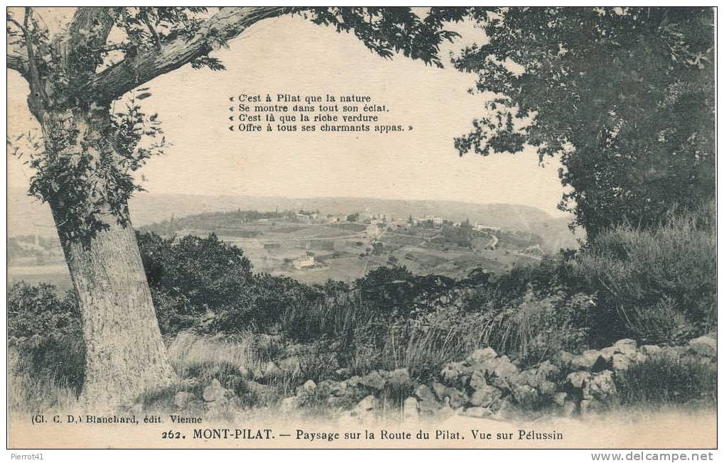 MONT PILAT - Paysage Sur La Route Du Pilat - Vue Sur Pélussin - Mont Pilat