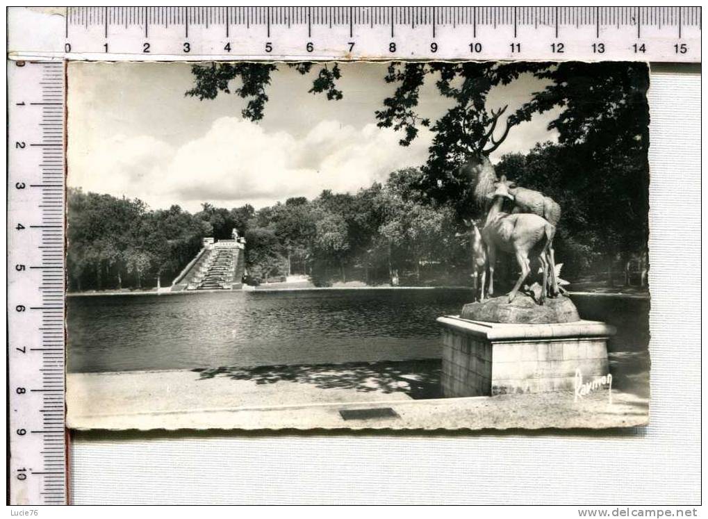 LE PARC DE SCEAUX -  Le Lac Et La Grande Cascade - N° 816 - Sceaux