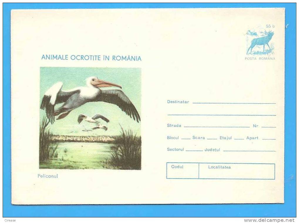 ROMANIA Postal Stationery Cover 1977 Danube Delta, Bird, Oiseaux Pelicans, Pelican - Pelikane