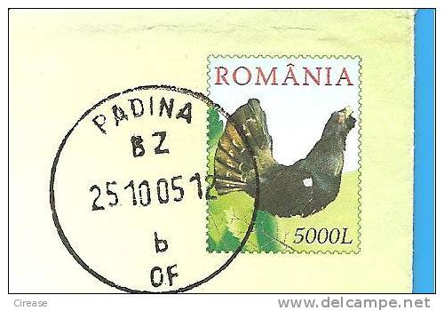 ROMANIA Postal Stationery Cover 2005. Cock Mountains Bird, Oiseaux Printed Stamp - Cuco, Cuclillos