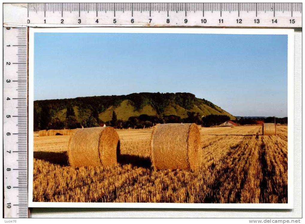 PONT SAINT PIERRE Et Ses Environs -   Après La MOISSON - Cultivation