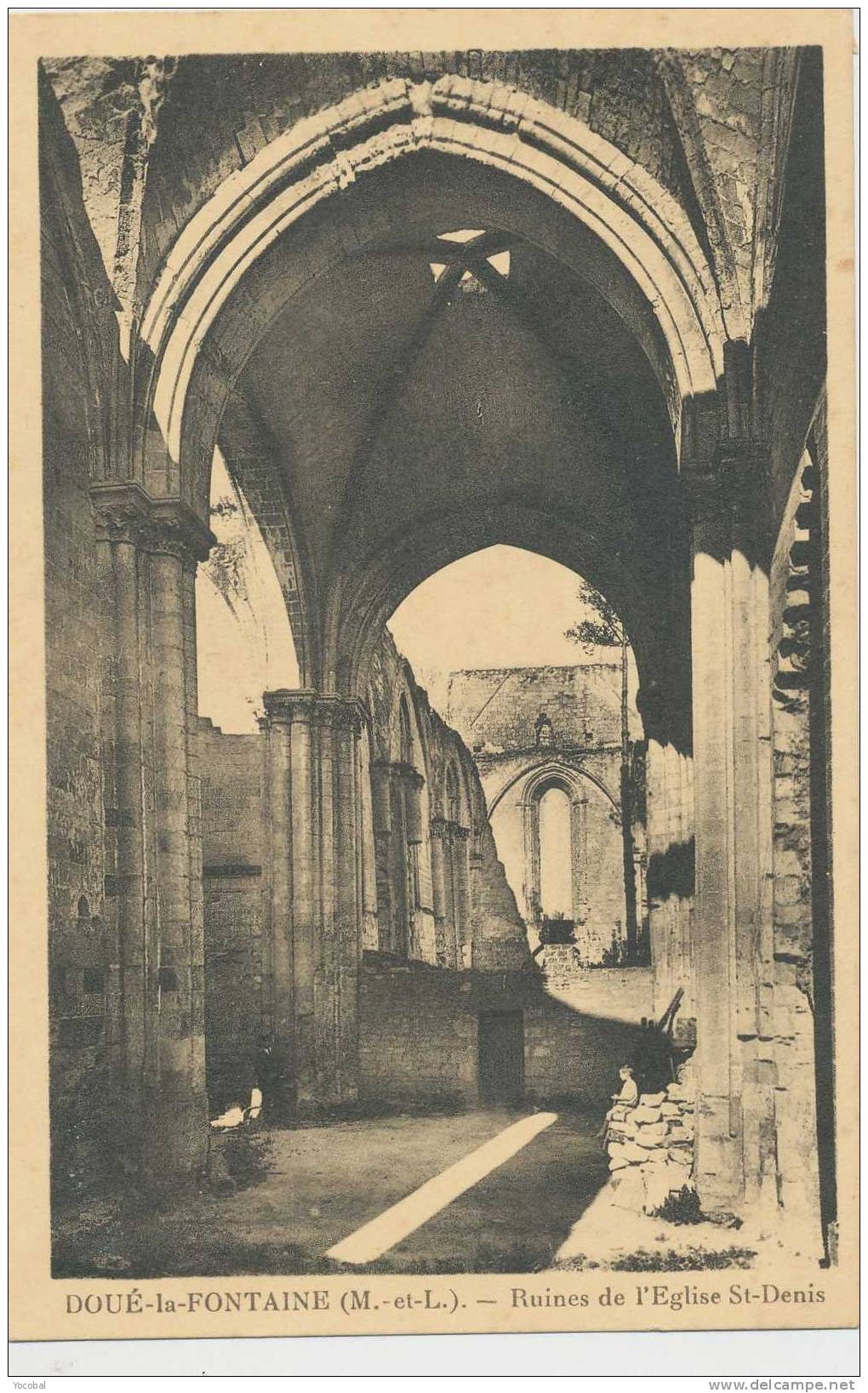 Cp , 49 , DOUÉ-la-FONTAINE , Ruines De L'Église St-Denis - Doue La Fontaine