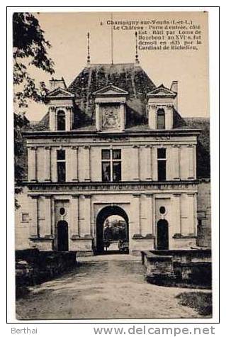 37 CHAMPIGNY SUR VEUDE - Le Chateau - Porte D Entree - Champigny-sur-Veude