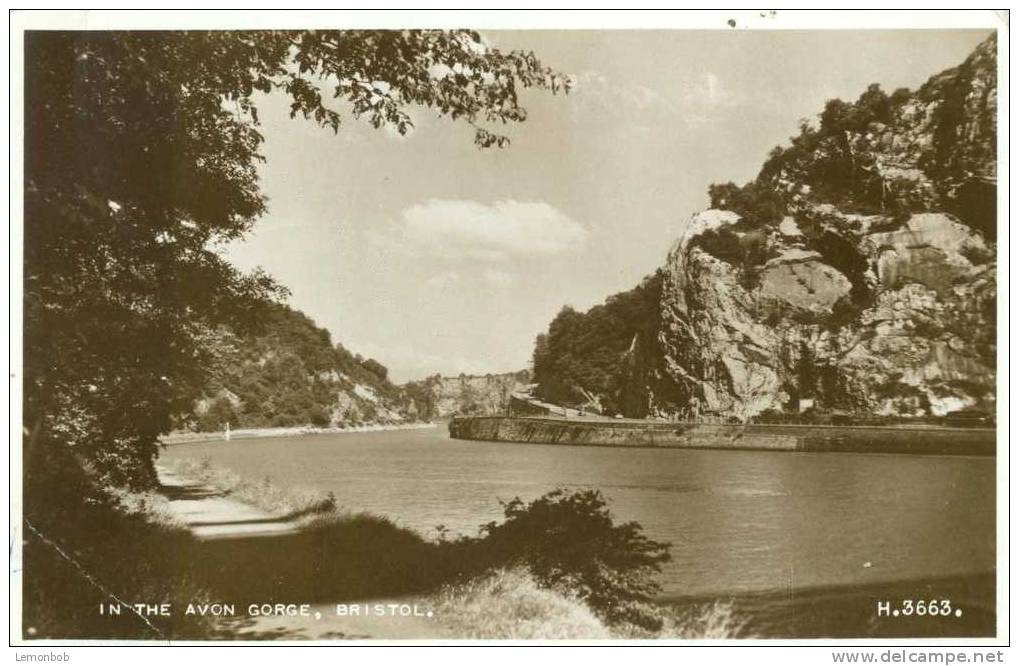 Britain United Kingdom Hindhead - In The Avon Gorge, Bristol Early 1900s Real Photo Postcard [P1510] - Bristol