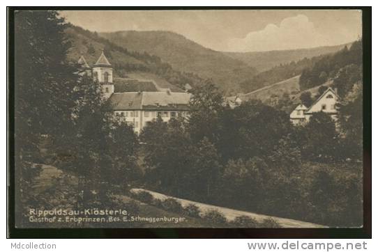 ALLEMAGNE BAD RIPPOLDSAU / Gasthof Z. Erbprinzen / - Bad Rippoldsau - Schapbach