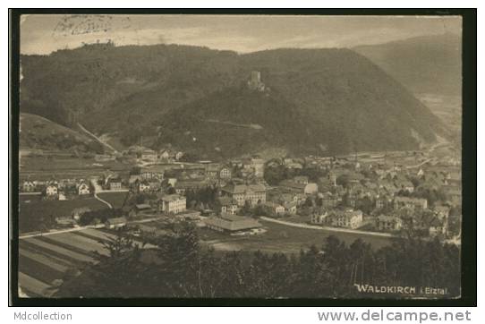 ALLEMAGNE WALDKIRCH / Totalansicht / - Waldkirch