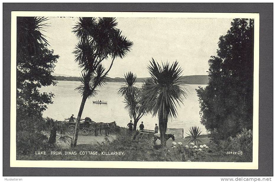 Ireland Kerry Lake From Dinas Cottage, Killarney Valentine´s Postcard - Kerry