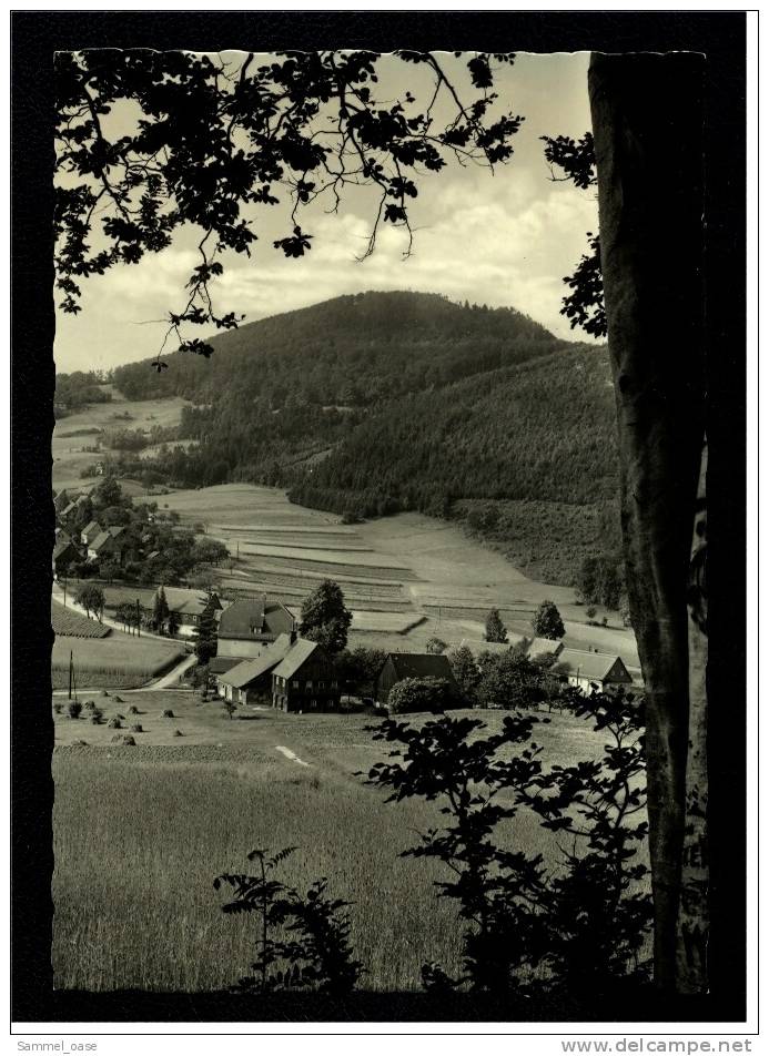 Waltersdorf  -  Blick Nach Der Lausche  - Zittauer Gebirge  -  Ansichtskarte Ca.1965 - Stadtroda