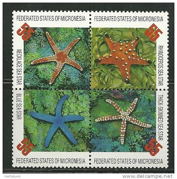 Micronesia    "Sea Stars"    Block Of 4    SC# 240  MNH** - Micronesië