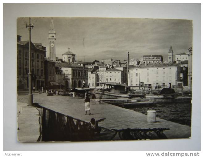 Piran . , Cpm Photo 15X1O - Slovenia