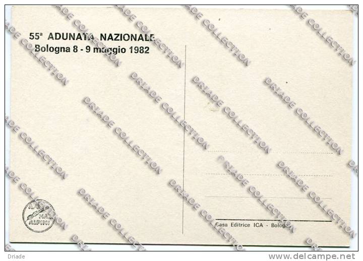 CARTOLINA TEMATICA ALPINI ADUNATA NAZIONALE BOLOGNA ANNO 1982 - Police - Gendarmerie