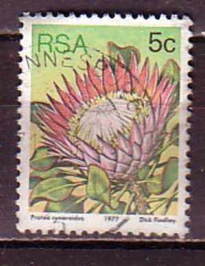 D0181 - AFRIQUE DU SUD SOUTH AFRICA Yv N°420 - Usati