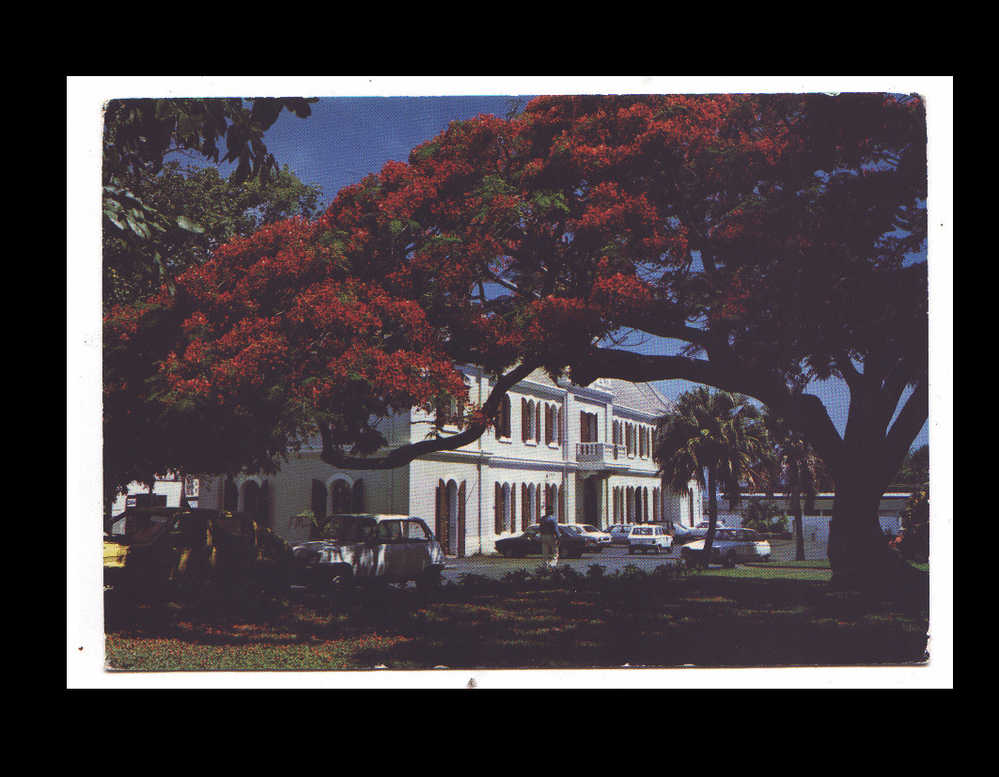 ILE DE LA REUNION - HOTEL DE VILLE - ST PIERRE - Saint Pierre