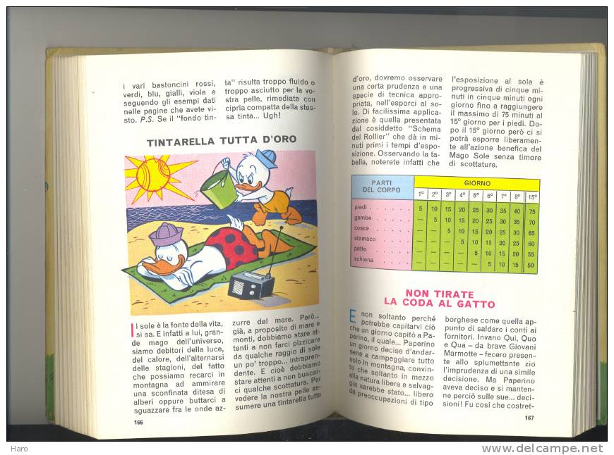 Walt DISNEY - En Italien - Manuale Delle Giovani "Marmotte" - Scout  - Scoutisme - Sonstige & Ohne Zuordnung