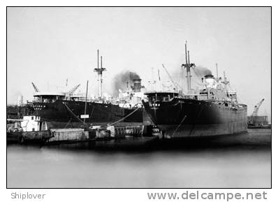 Cargos Italiens CRISTINA Et ISTRA (Marine Marchande) - Altri & Non Classificati