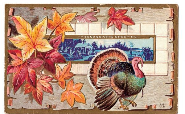 Pretty Antique Thanksgiving Postcard, Turkey W/ Fall Leaves, Farm, Emobssed 1910s Nash, Gold Embellished - Thanksgiving