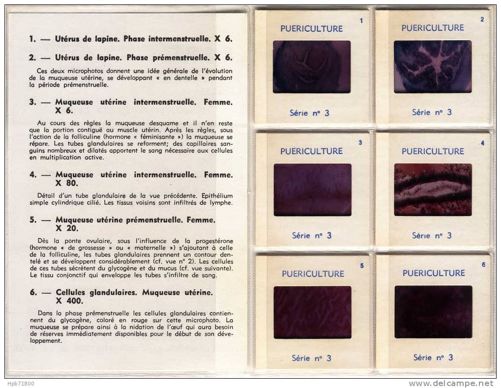 Sciences - Puériculture - Le Cycle Utérin - Série Complète De 6 Diapositives Avec Notice Explicative - Didactische Kaarten