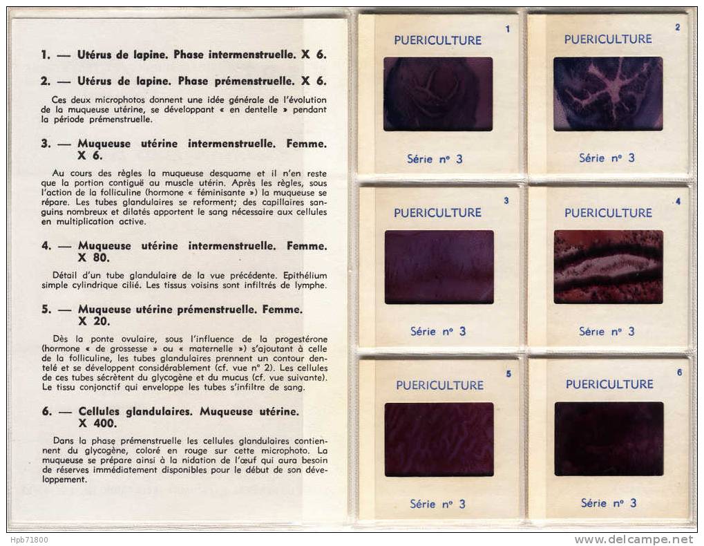 Sciences - Puériculture - Le Cycle Utérin - Série Complète De 6 Diapositives Avec Notice Explicative - Fiches Didactiques