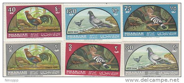 Sharjah-1965 Birds MNH - Other & Unclassified