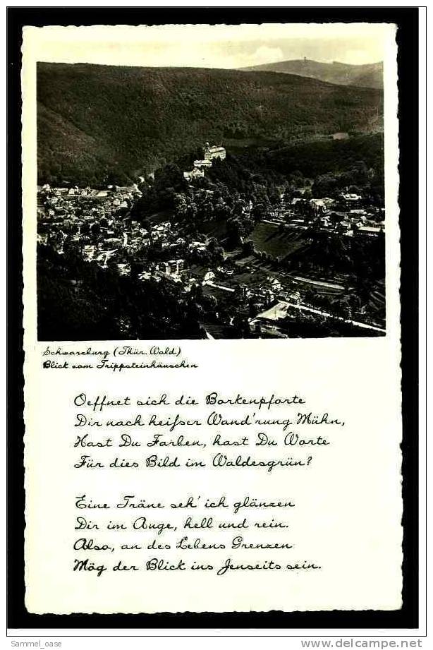 Schwarzburg  ( Thür. Wald )  Blick Vom Trippsteinhäuschen  -  Ansichtskarte Ca. 1935 - Bad Blankenburg