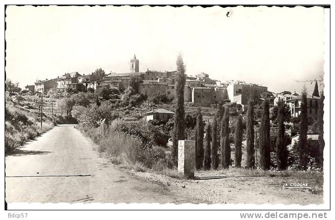 06 - ALPES-MARITIMES - MOUGINS  - Vue Générale  -  Dentelée 8,7  X 14 - Mougins